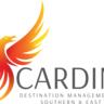 Cardinal DMC - Marketing